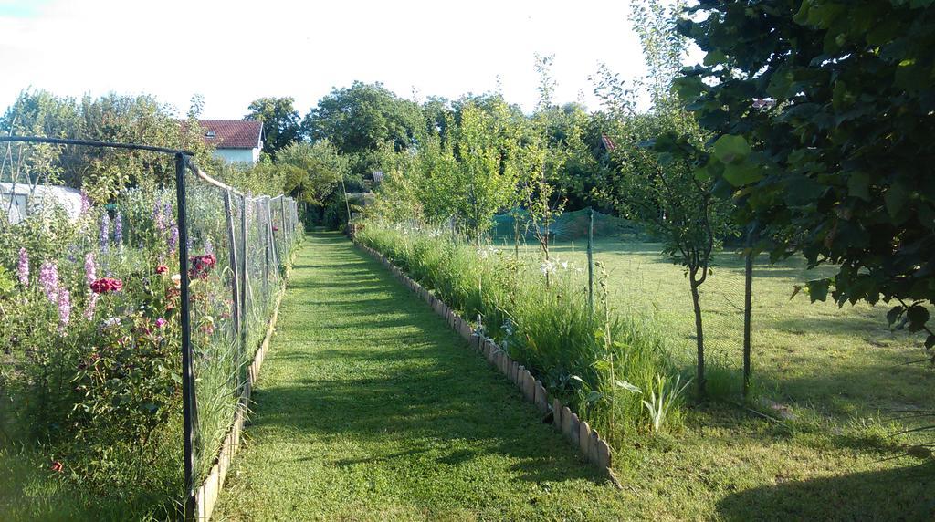 Farm Stay Lackovic Bilje Exterior photo