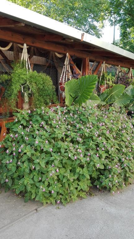 Farm Stay Lackovic Bilje Exterior photo